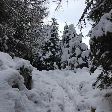 Haus Kohle Апартаменты